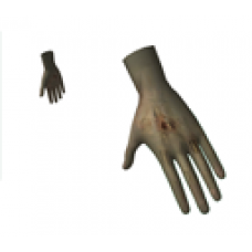 Undead Hands